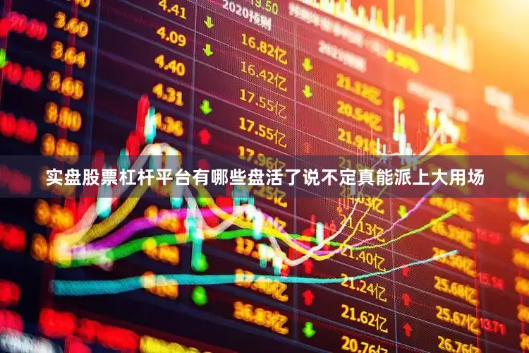 实盘股票杠杆平台有哪些盘活了说不定真能派上大用场