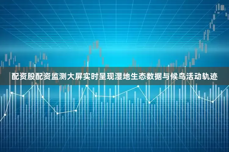 配资股配资监测大屏实时呈现湿地生态数据与候鸟活动轨迹