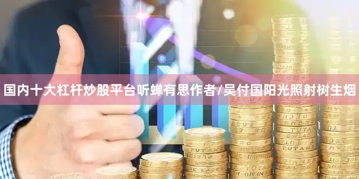 国内十大杠杆炒股平台听蝉有思作者/吴付国阳光照射树生烟