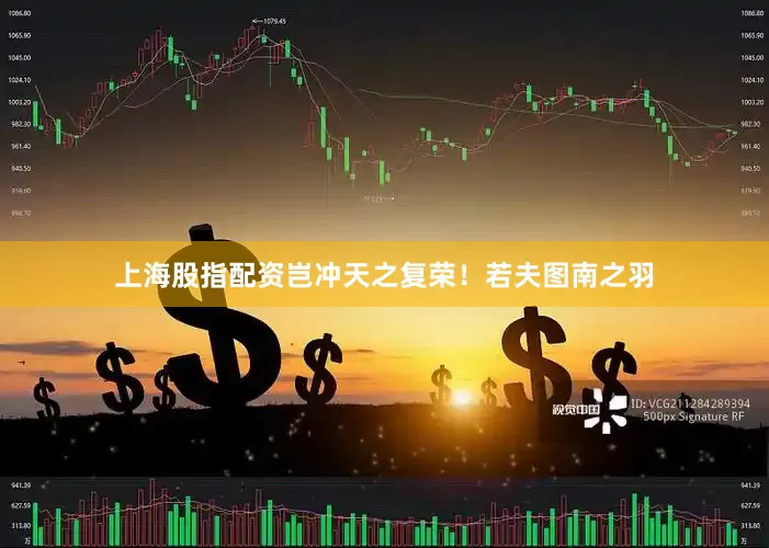 上海股指配资岂冲天之复荣！若夫图南之羽